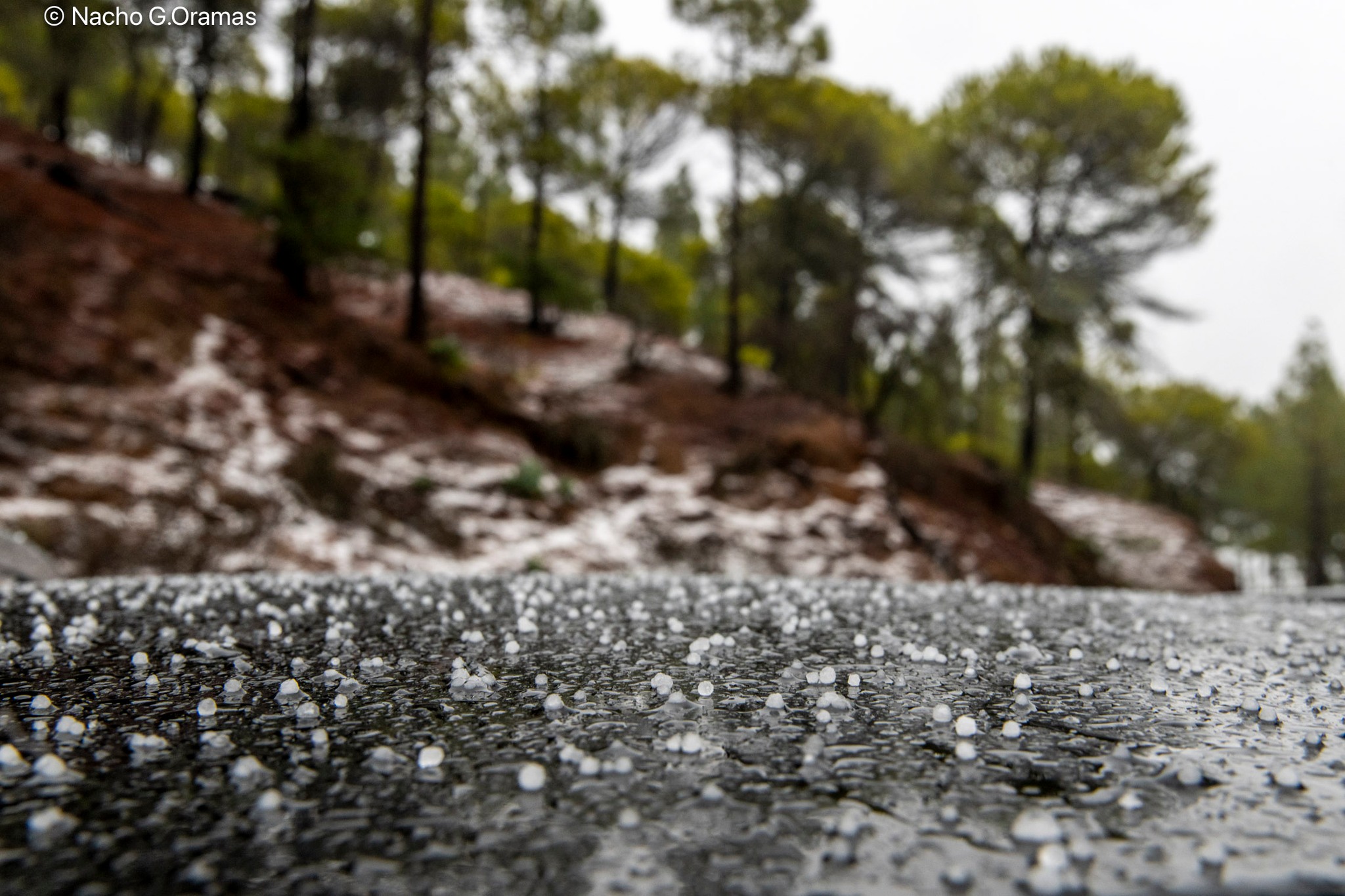 «Caerán precipitaciones en forma de nieve»