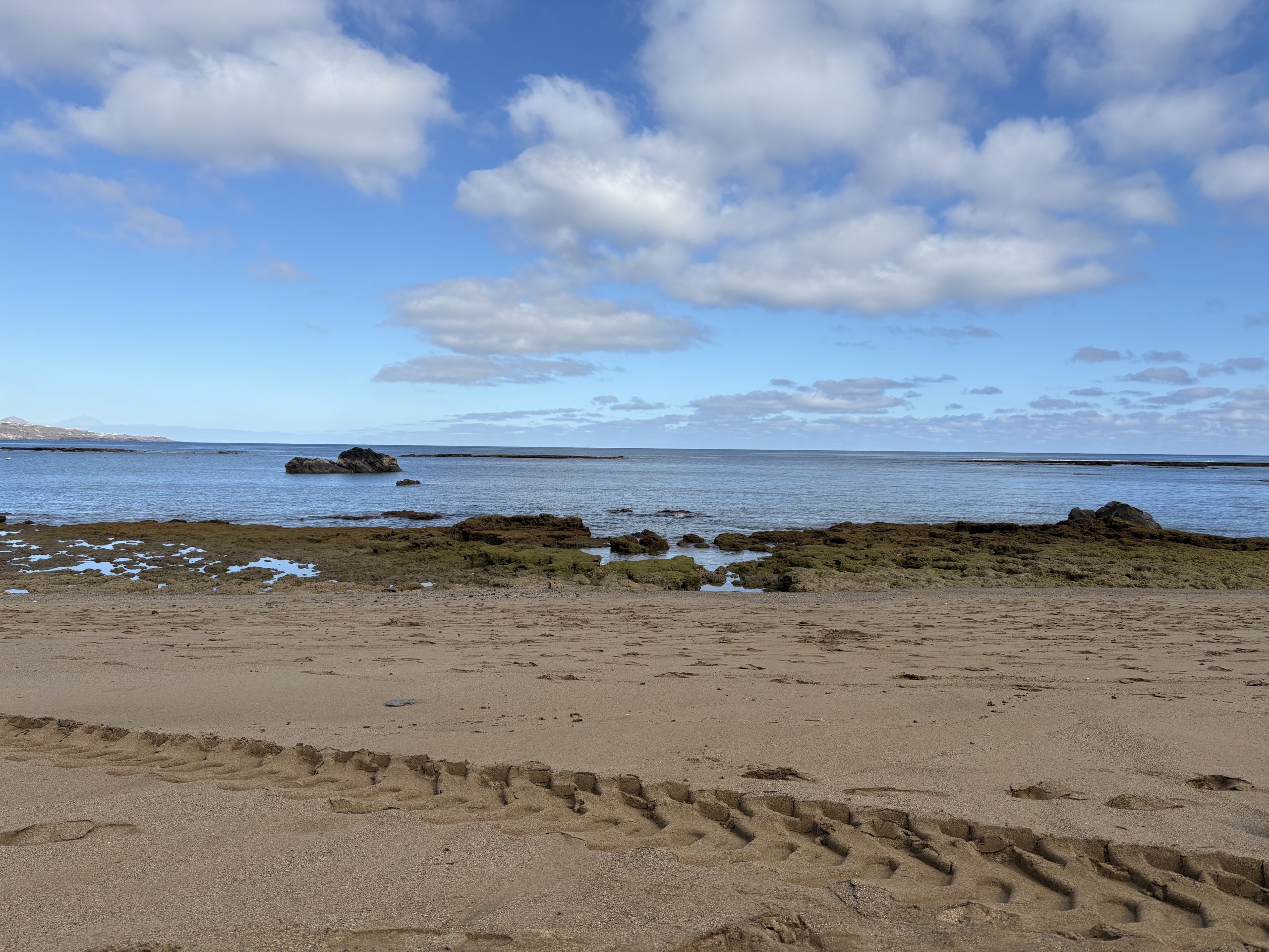 El sábado vi una estrella de mar